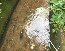 /zh/hangyedongtai/1268.html