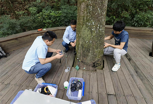 超聲波測樹傳感器 超聲波測樹傳感器