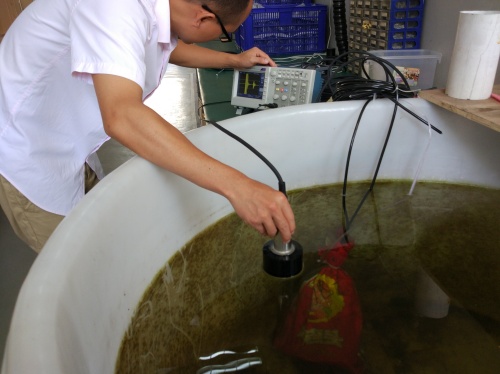 177605132179350.jpg 上官昌爍測量北京浩普中興的測深儀20170705 (11)_副本.jpg